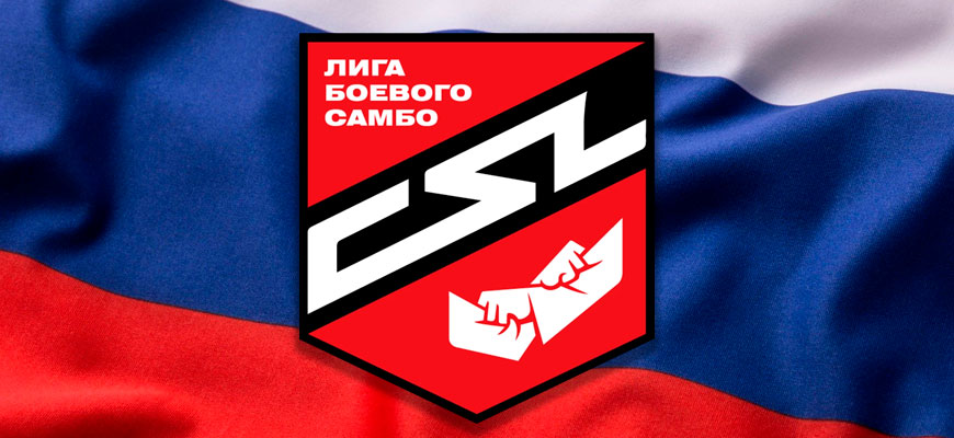Лига боевого самбо